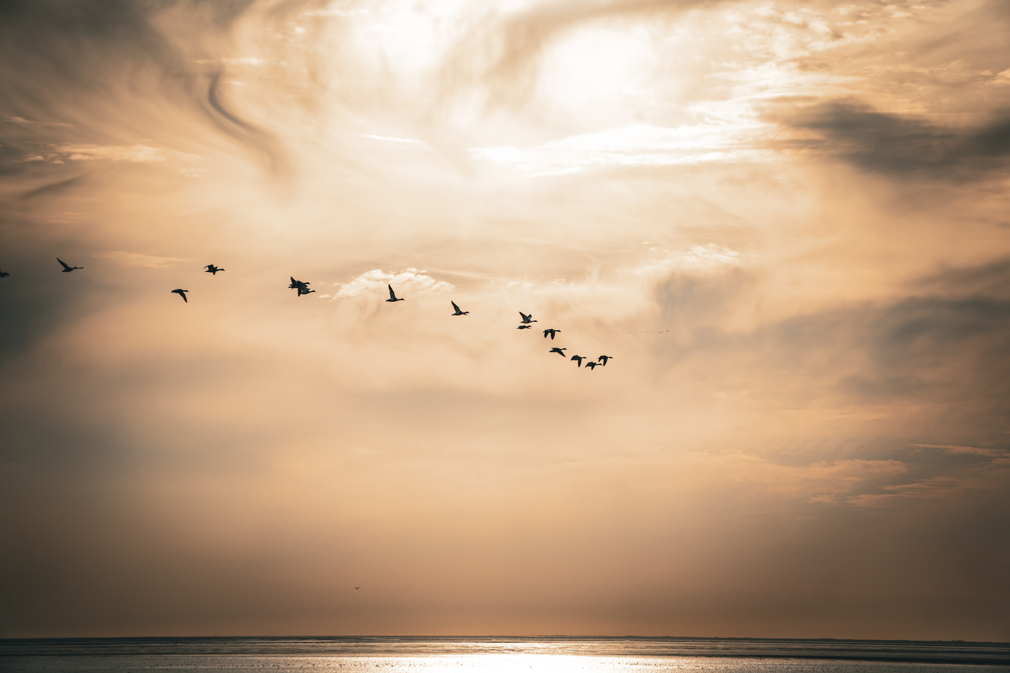Featured image for “teamentwicklung”